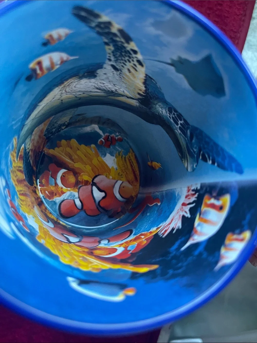 Arizona Sea Life Aquarium Ceramic Mug